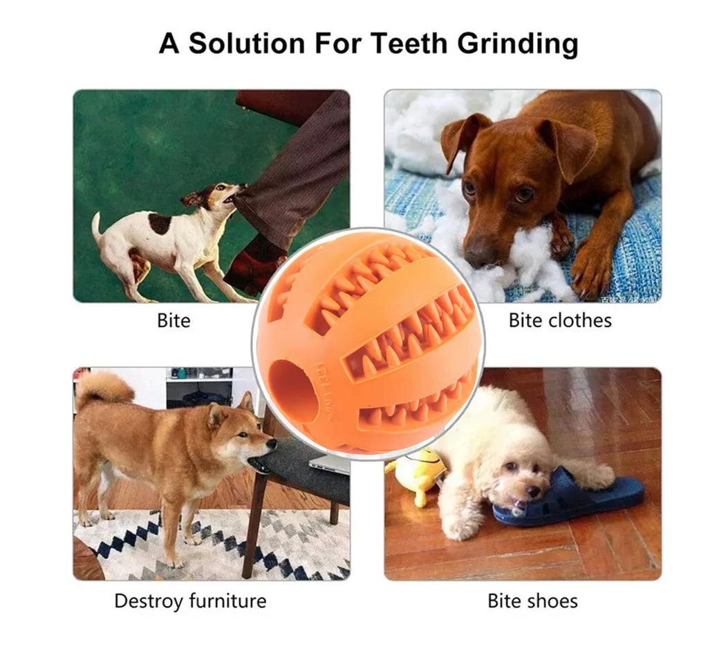 Dog Ball Food Feeder - Nontoxic